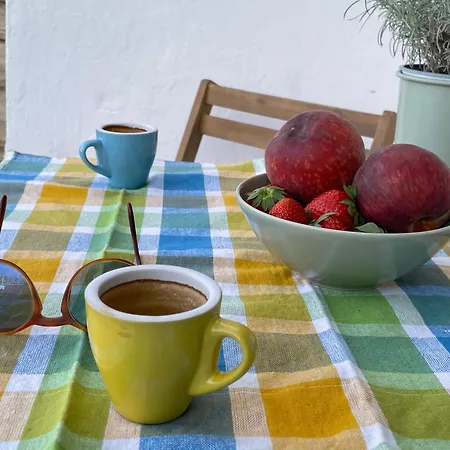 Shivani 게스트하우스
